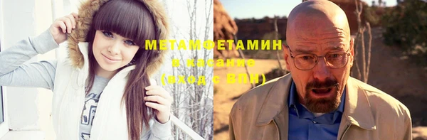 прущие грибы Верея