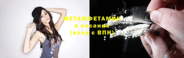 прущие грибы Верея
