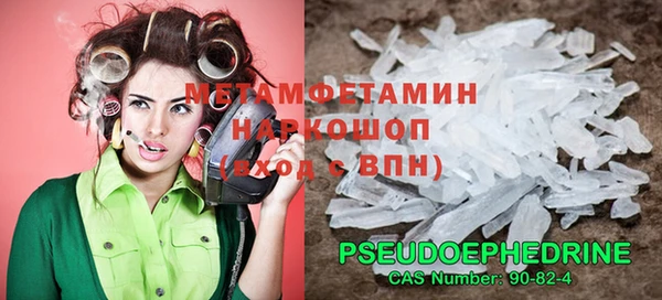 прущие грибы Верея