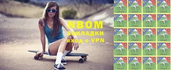 прущие грибы Верея