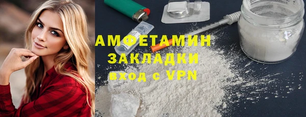 прущие грибы Верея