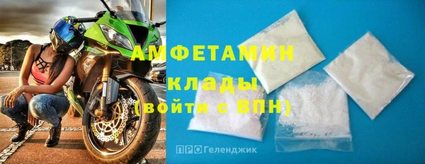 прущие грибы Верея
