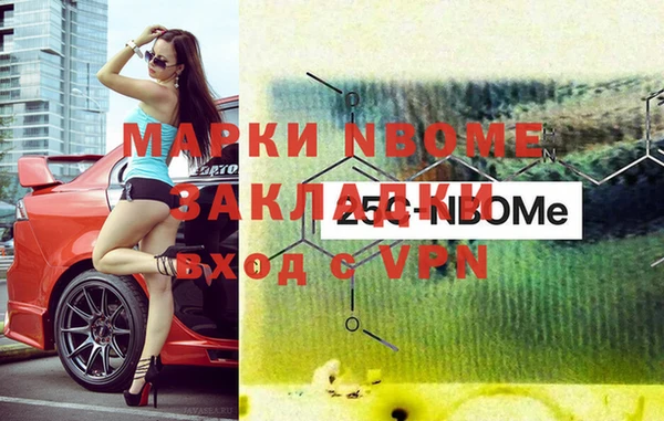 прущие грибы Верея