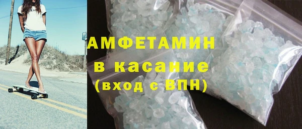 прущие грибы Верея
