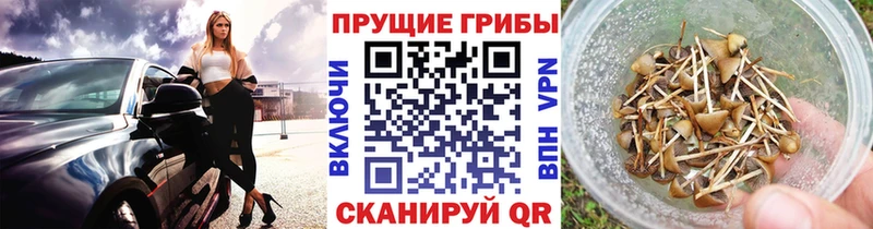 Галлюциногенные грибы Cubensis  MEGA ссылки  shop состав  купить закладку  Разумное 