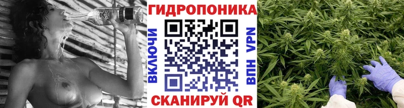 Канабис планчик  Разумное 